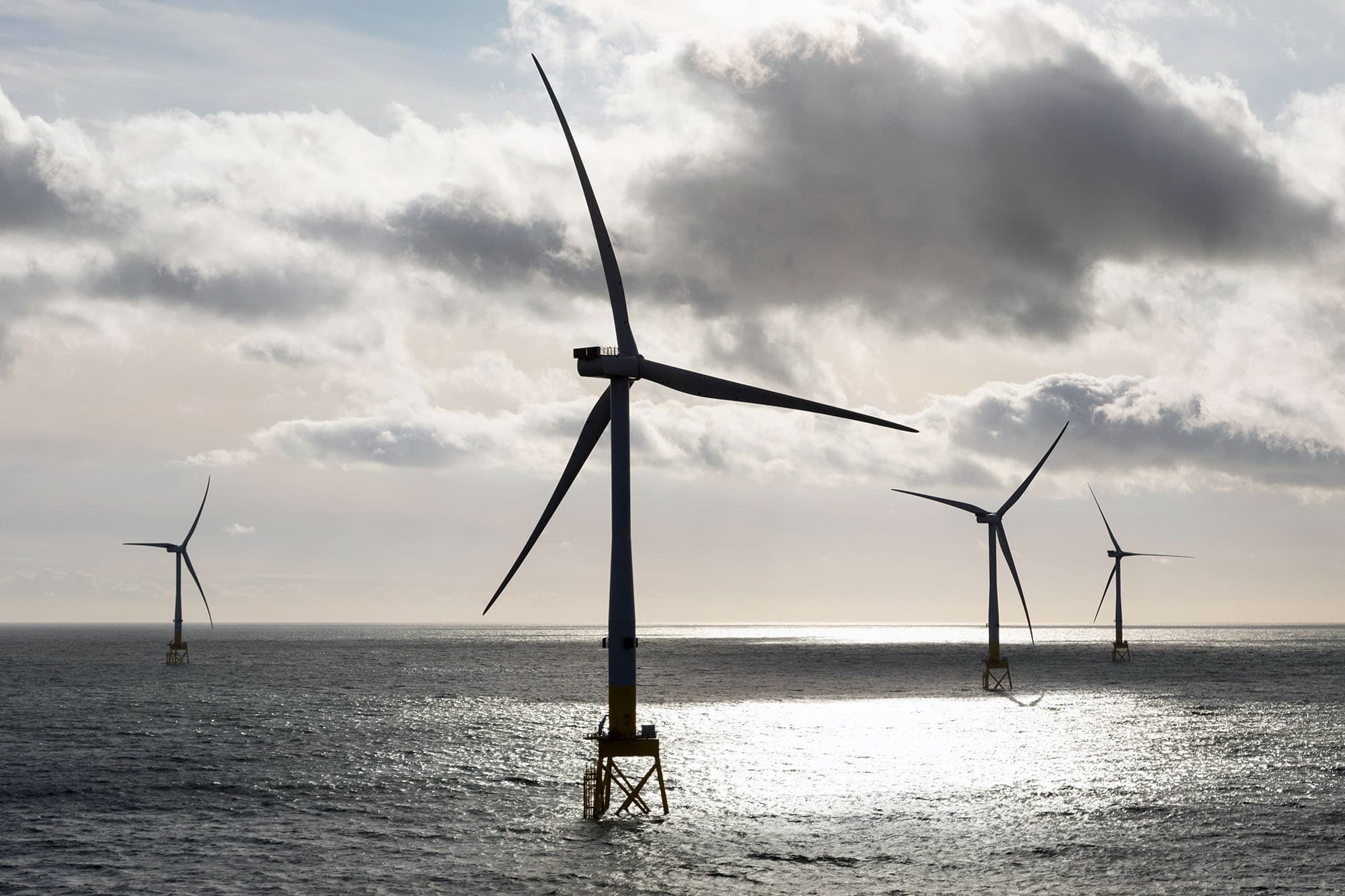 Offshore wind turbines in a calm sea