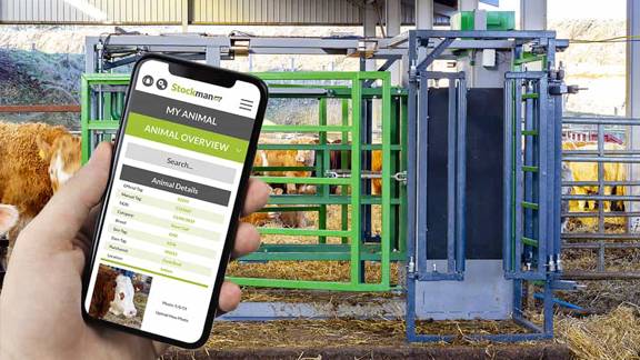 Herd Advance app in use at a farm