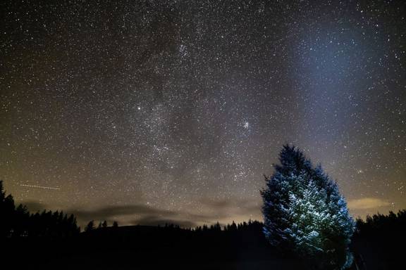 Spectacular starry sky seen from Kirroughtree Forest, near Newton Stewart. In the foreground, a tree is dusted with frost, while uncountable stars are scattered across the night sky