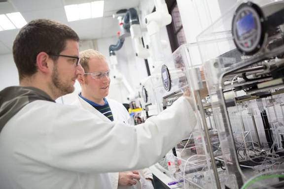 Life Sciences researchers at work in a lab in Glasgow University